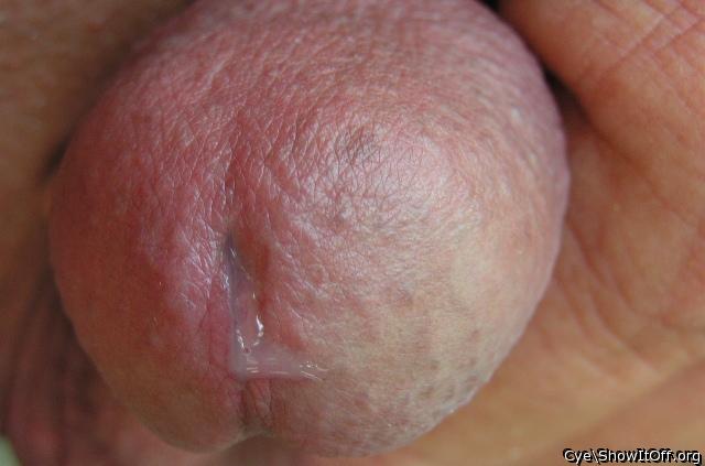 Adult image from Cye