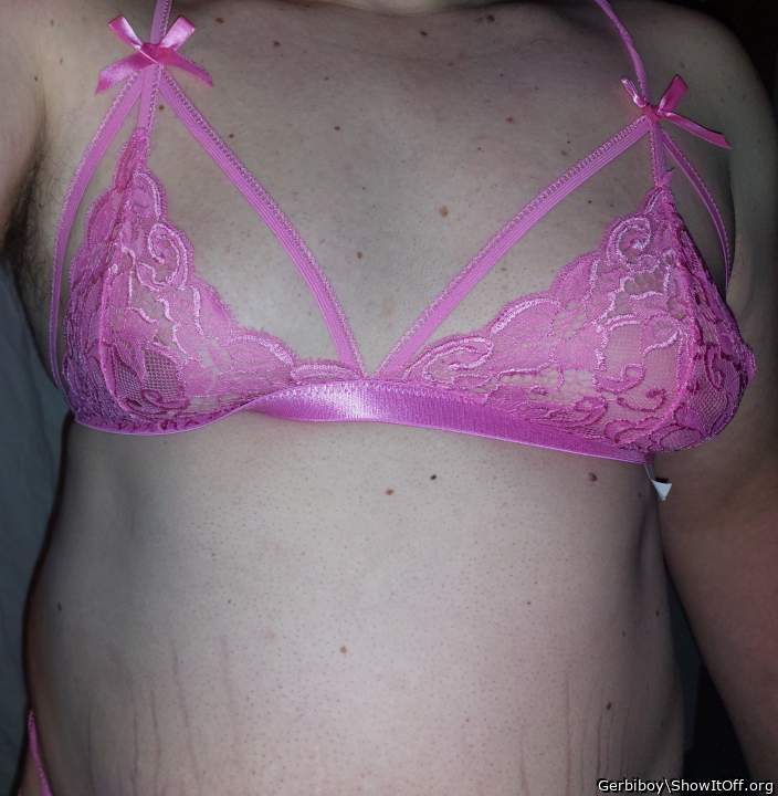 Adult image from Gerbiboy
