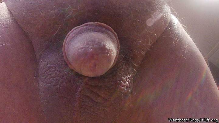 Adult image from Wantboth