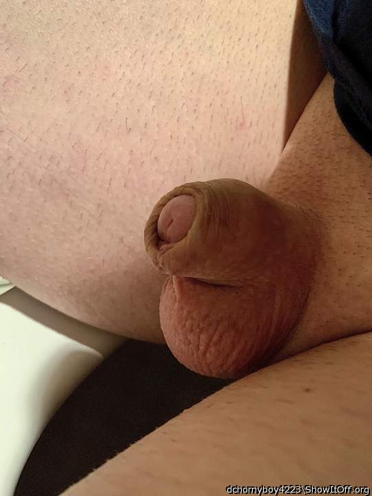 Adult image from dchornyboy4223