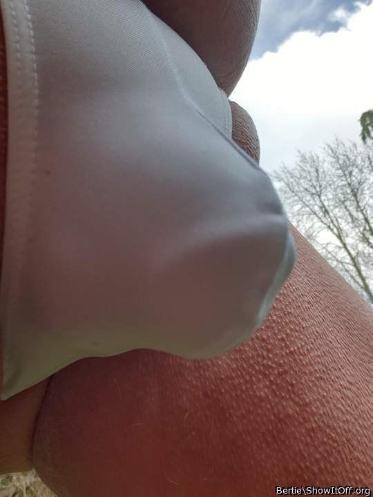 Adult image from Bertie