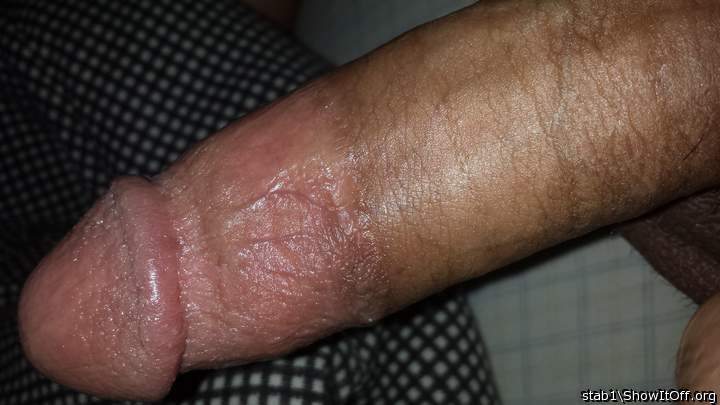 Adult image from stab1