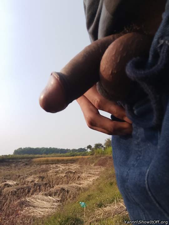 Adult image from Yannn
