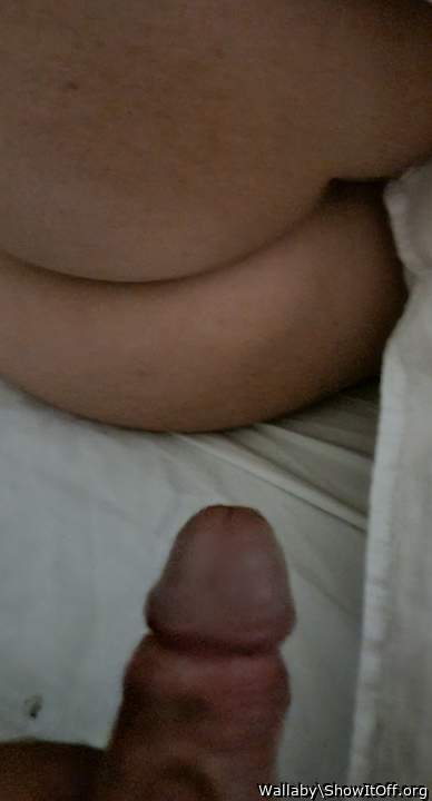 Adult image from Wallaby