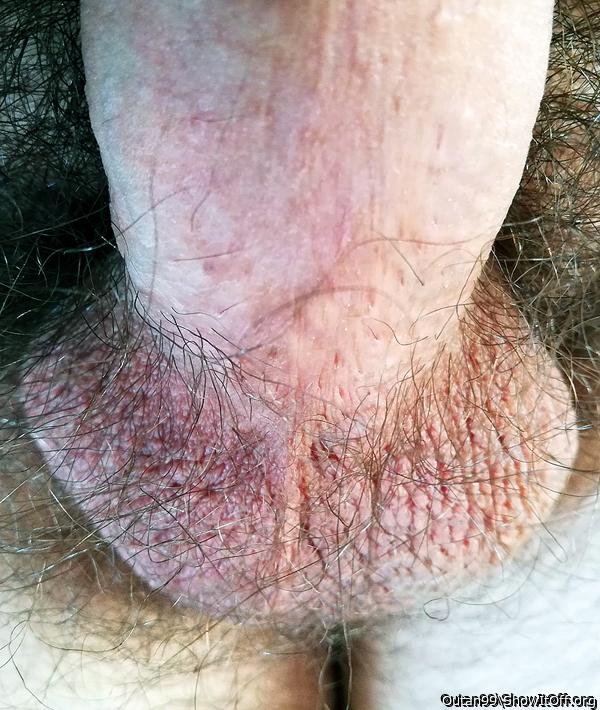Adult image from Outan99