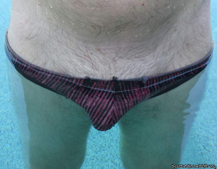 Adult image from Scuttle