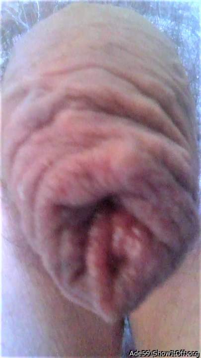 Adult image from Ade59