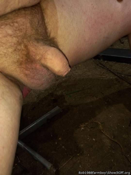 Adult image from Rob1988farmboy