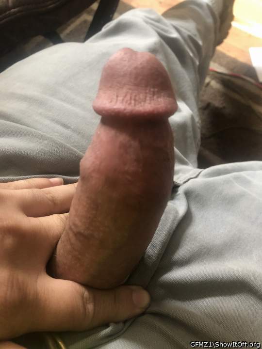 Adult image from GFMZ1