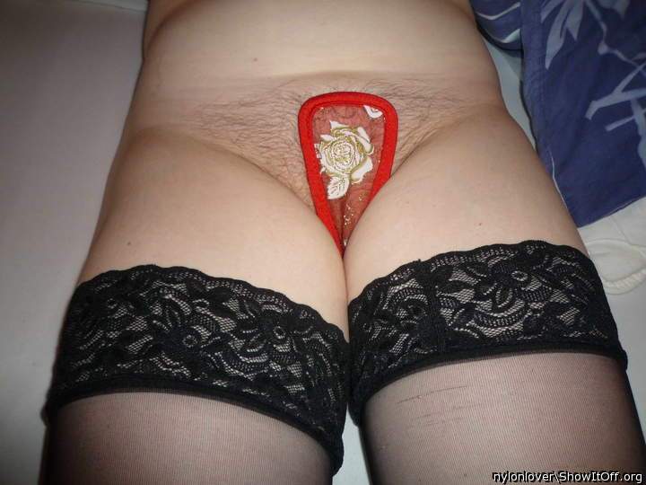 Adult image from nylonlover