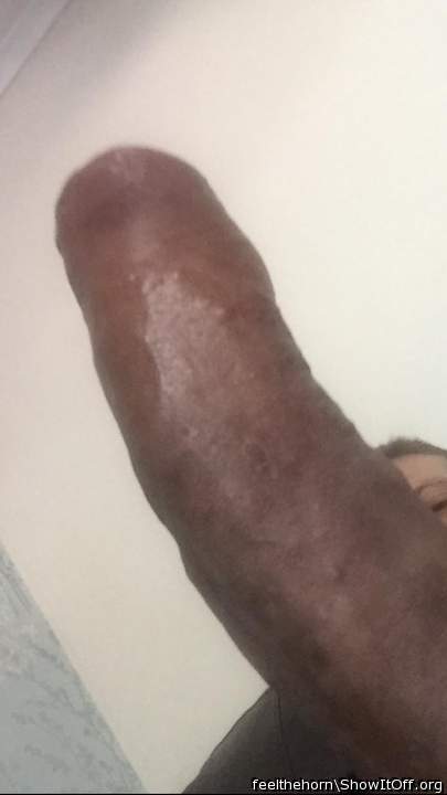 Adult image from feelthehorn