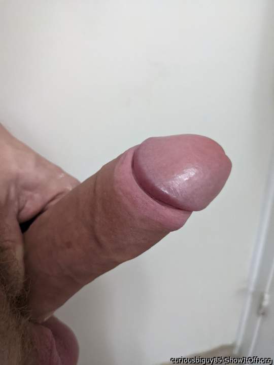 Adult image from curiousbiguy85