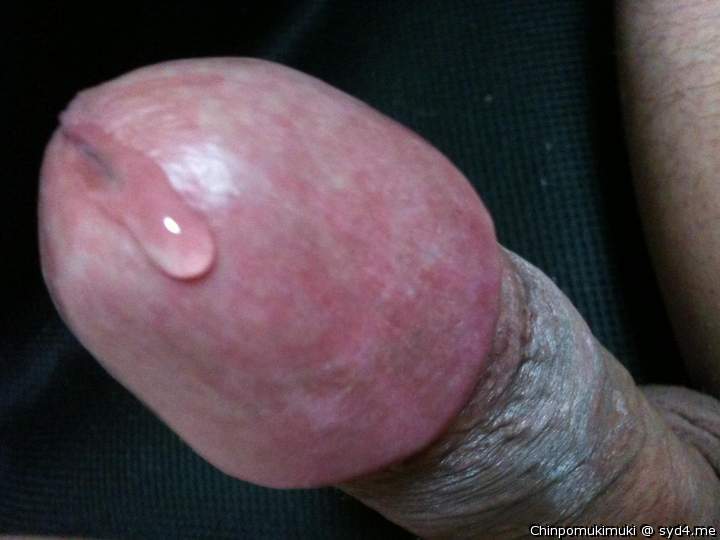Adult image from ChinpoMukimuki