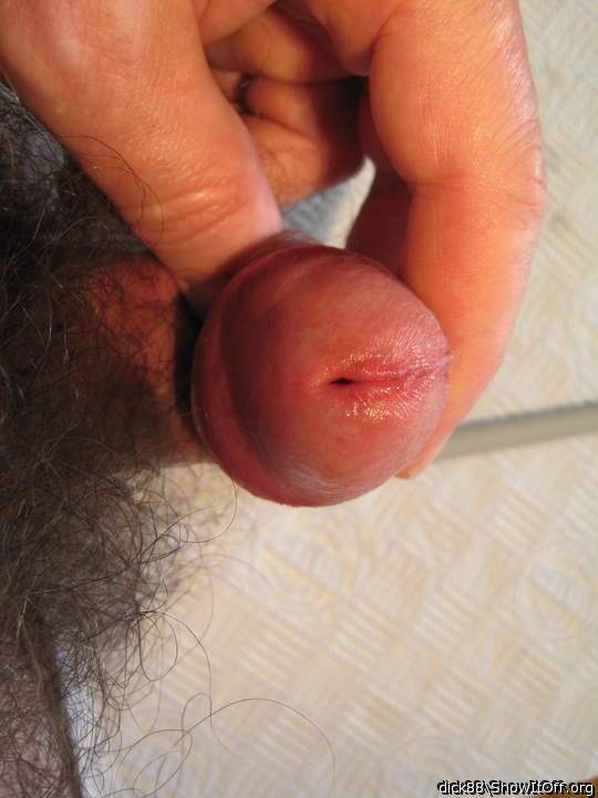 Adult image from Dick88