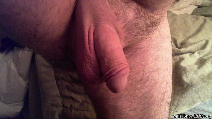 Adult image from willis