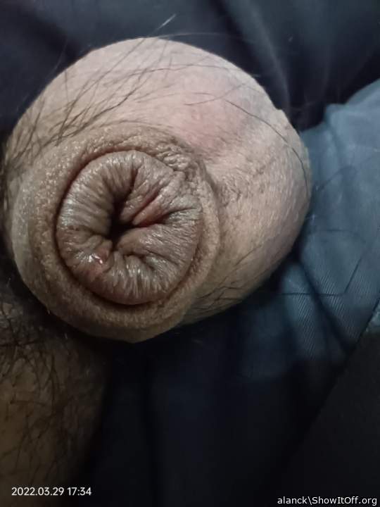 Adult image from alanck