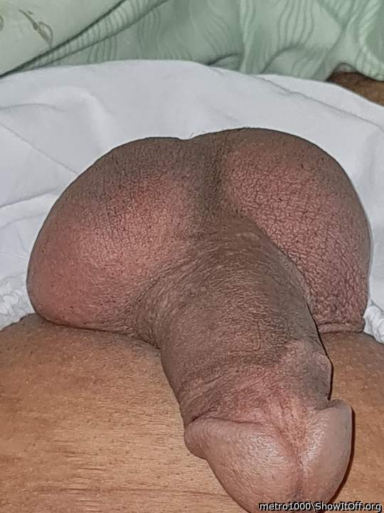 Adult image from metro1000