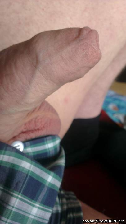 Adult image from covas
