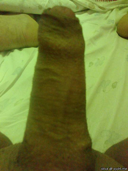 Adult image from silva