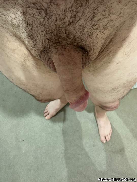 Adult image from HB1242