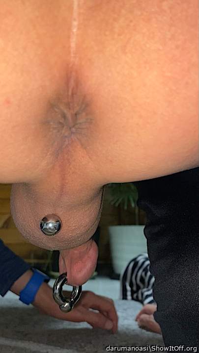 Adult image from darumanoasi
