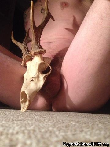 Adult image from Mypride