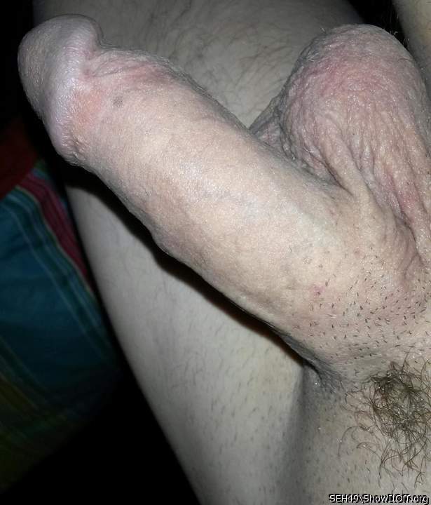 Adult image from SEH49