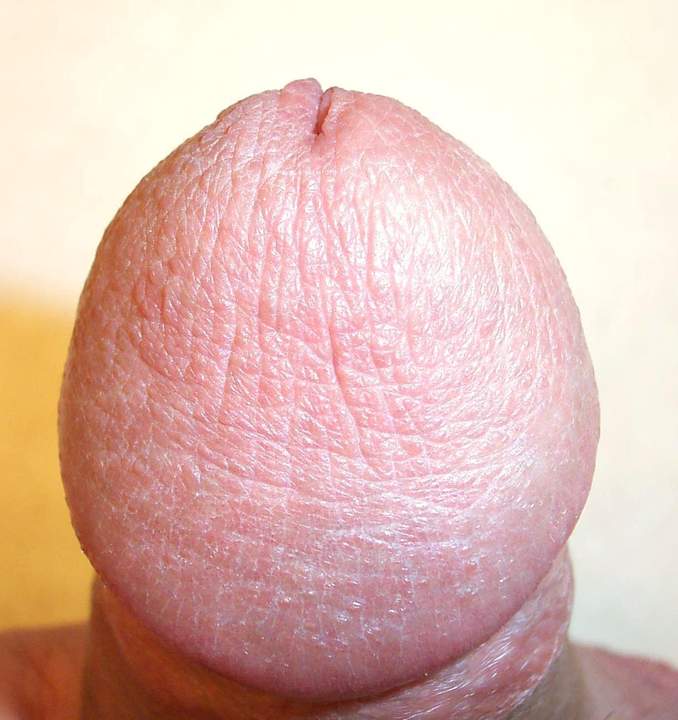 Adult image from lilsoftee