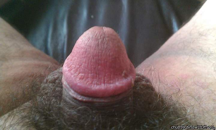 Adult image from chub39