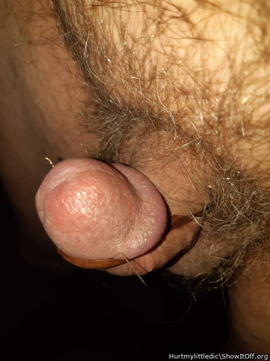 Adult image from hurtmylittledic