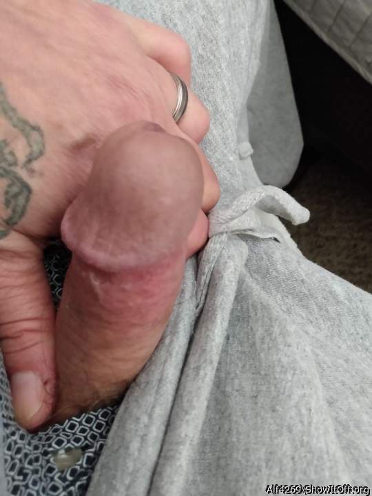 Adult image from Alf4269