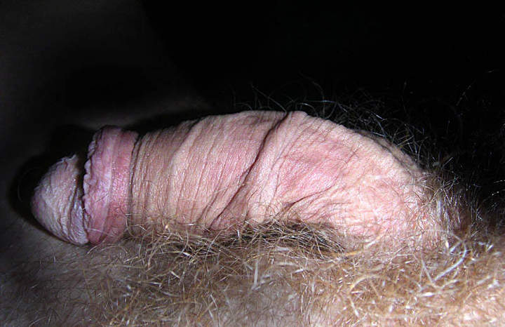 Can I suck him?  
