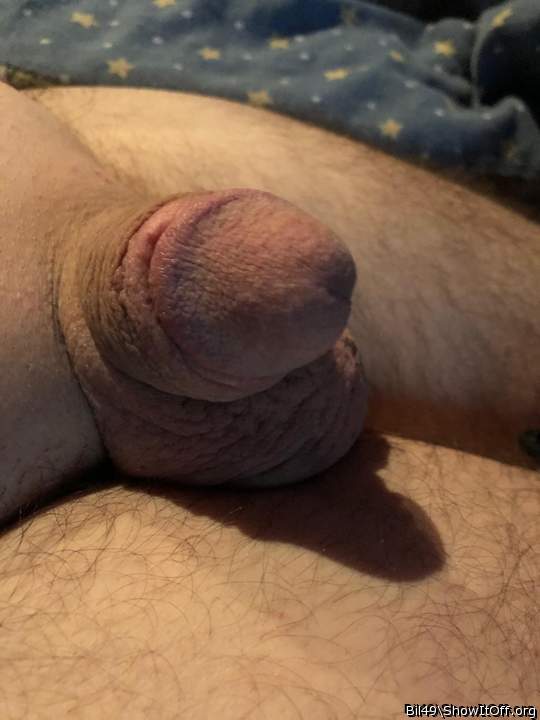 Adult image from Bil49