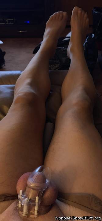 Adult image from Lvphose