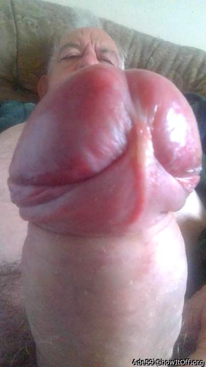 My preferite pics