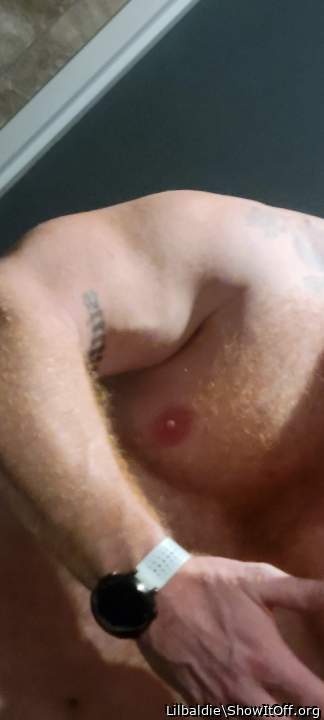 Adult image from Lilbaldie