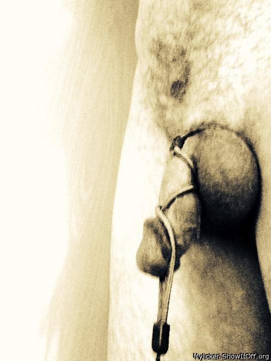 Adult image from Mylicker