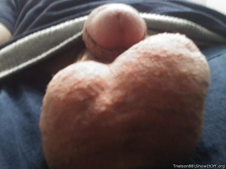 Adult image from Tnelson88