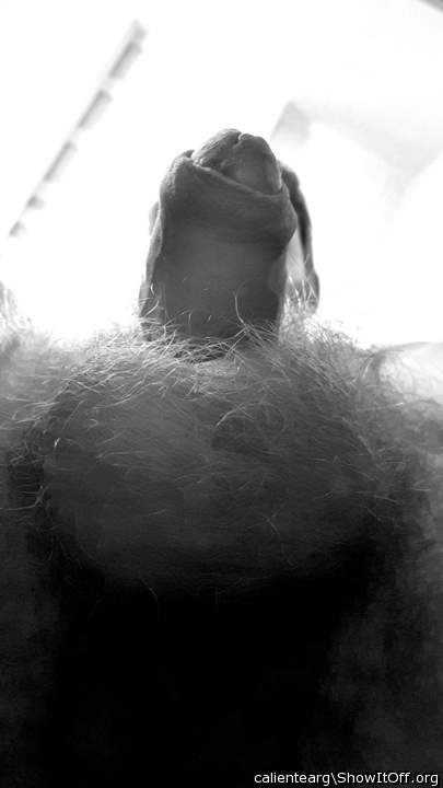 Adult image from calientearg