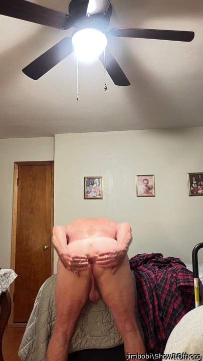 Adult image from jimbobi