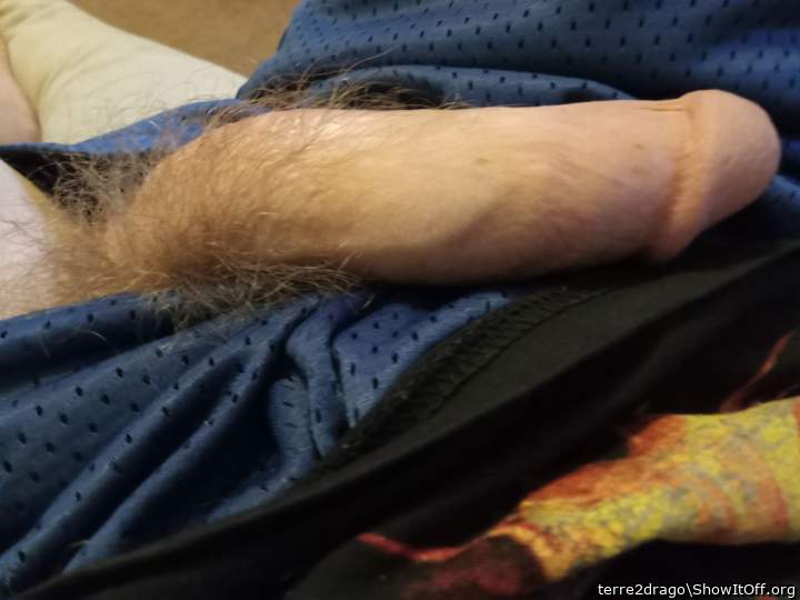 Adult image from terre2drago