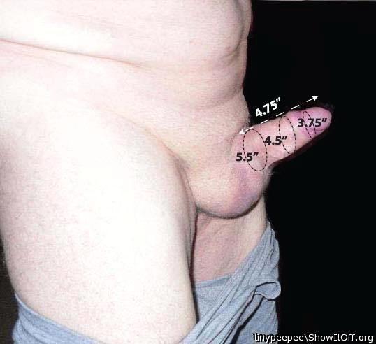 Nice diagram, my buddys dick is very much like yours. Beaut