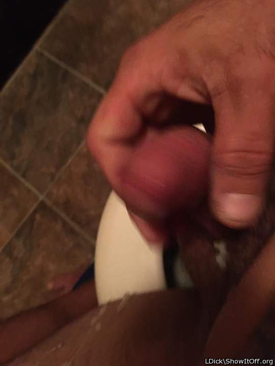 Adult image from LDick