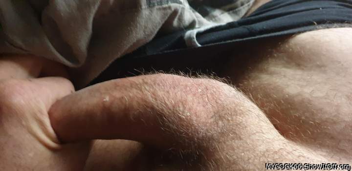 Adult image from MYCOCK66