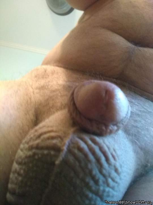 Adult image from Tnelson88