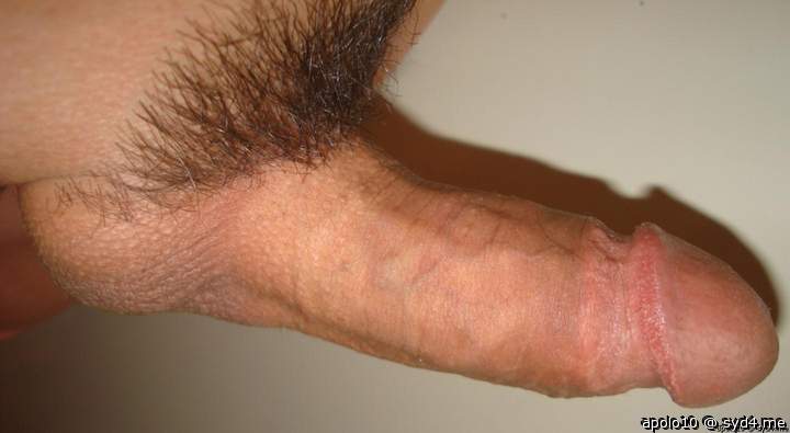 Adult image from apolo10