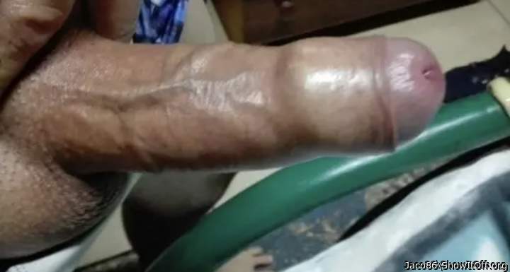 Adult image from Jaco86