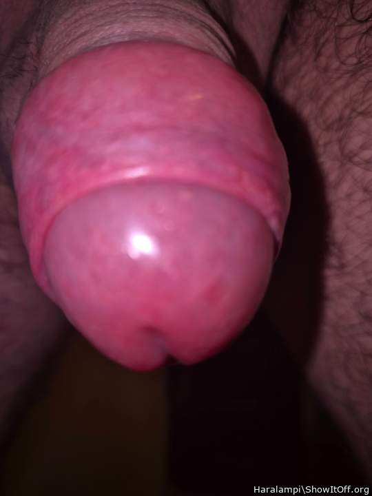 Adult image from Haralampi