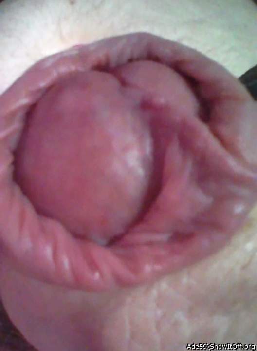 My tongue wants to frot


you for an hour or 2...with fre