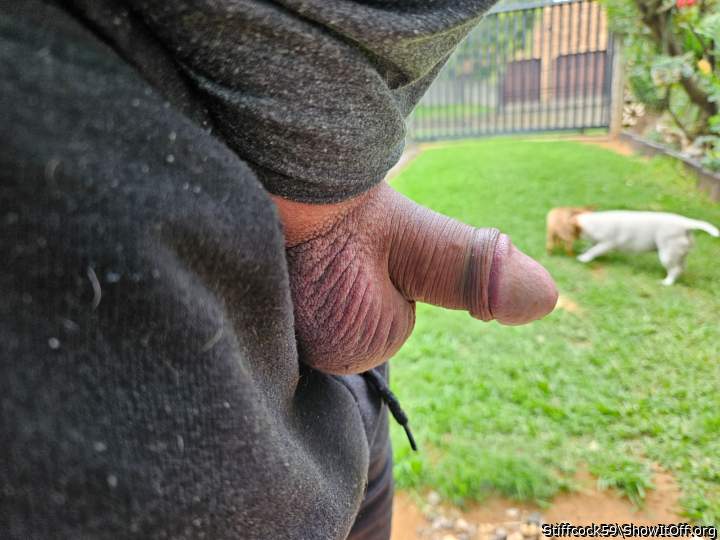 Adult image from Stiffcock59